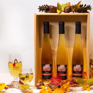 Vin D'Érable